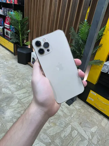 IPHONE 12 PRO MAX
