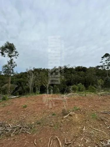 TERRENO no RIO VERMELHO POVOADO com 0 quartos para VENDA, 184850 m²