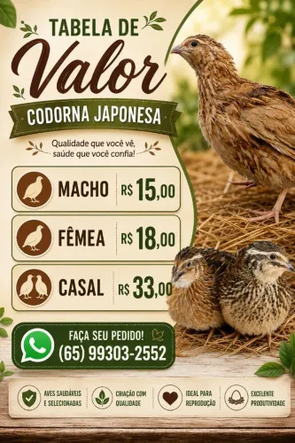 Casal codorna