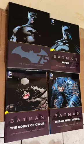Batman The Dark Knight Returns, The Court of Owls, Hush box importado 