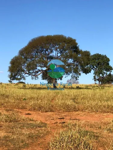 Fazenda a venda em Goiás 145 hectares ou 30 alqueires Uruaçu - GO. EXTRA
