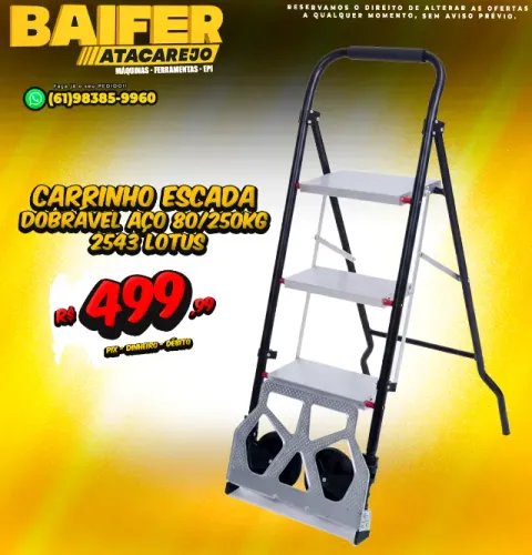 Carrinho de Carga e Escada Dobrável 2 em 1 Aço 80/250kg 2543 Lotus