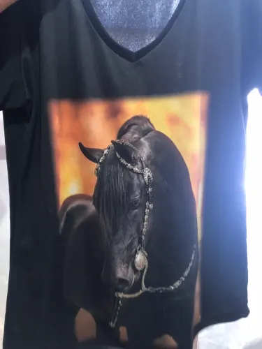 Camisetas Countrys Duas Unidades
