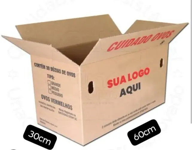 Caixa de Papelão para mudança