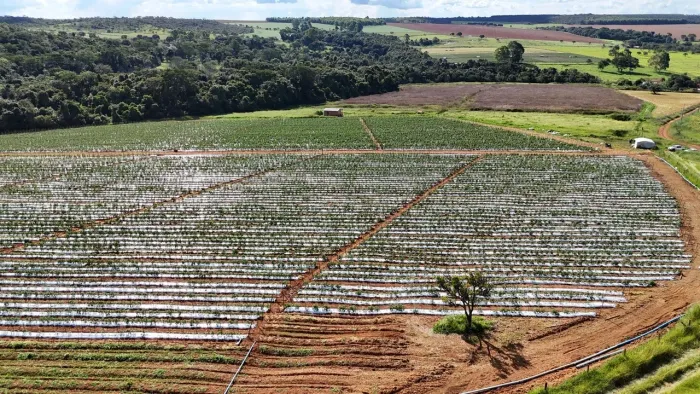 Chácara 5.22 alqueires