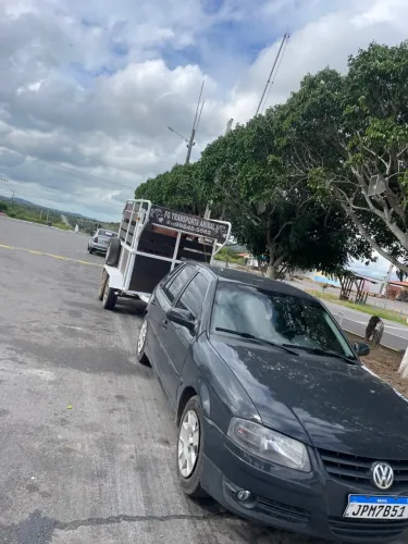 Transporte de equinos
