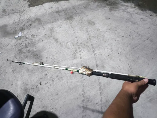 Vara de pesca