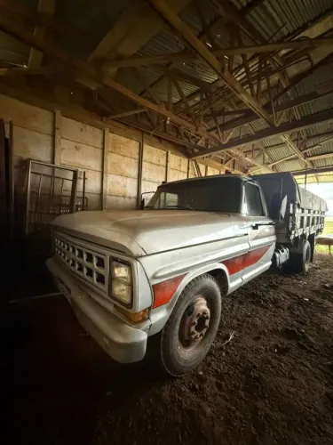 Ford F-4000 1985
