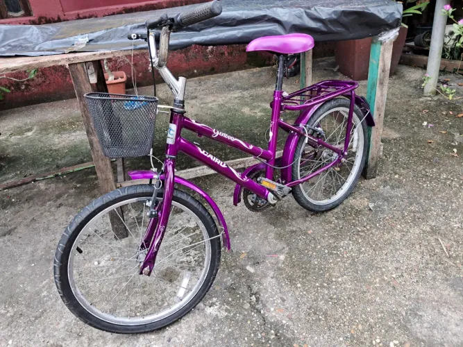 Bicicleta infantil 