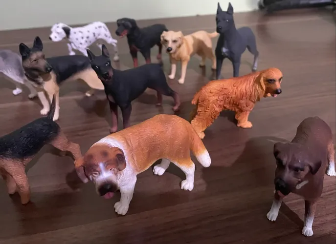 Coleção cachorros super notícia