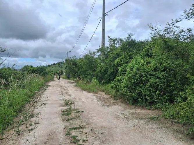 Vende-se 6 lotes de terreno com cada lote medindo 15X30.