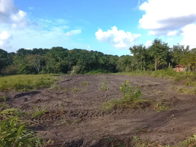 Terreno em Salinópolis 