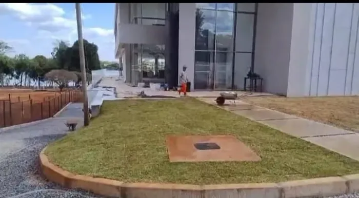 Grama São Carlos Verde Forte Qualidade Premium Confira 