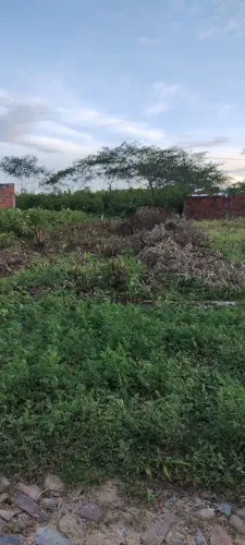 Vendo ou troco terreno