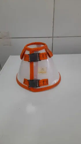 Produtos para cachorro 