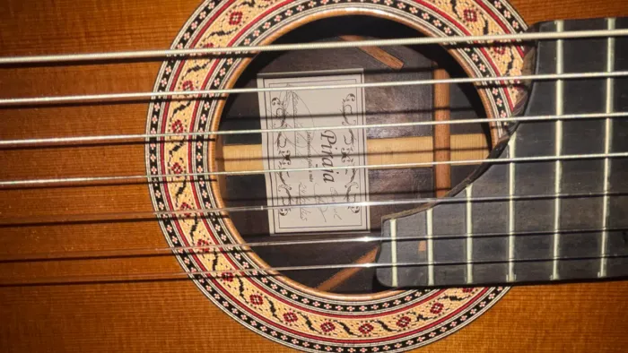 Violão de 7 Cordas Luthier Piraja 