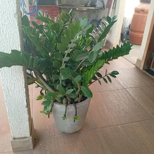 Utensílios domiciliar