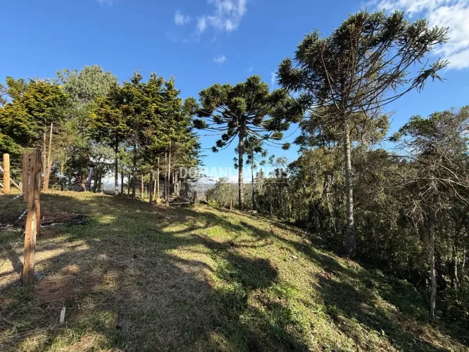 Lote com Preço de Oportunidade na Região de Descansópolis - Campos do Jordão/SP