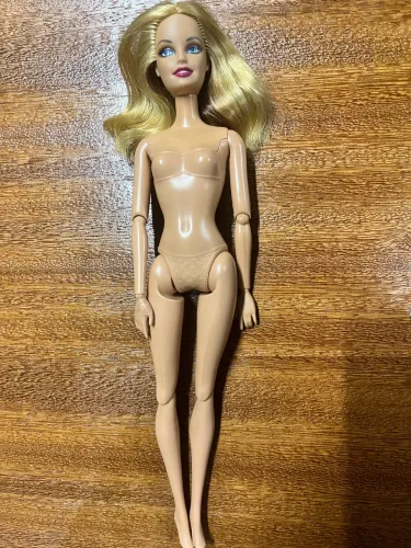 Barbies fashionistas nuas