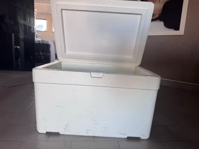 Caixa térmica 50L