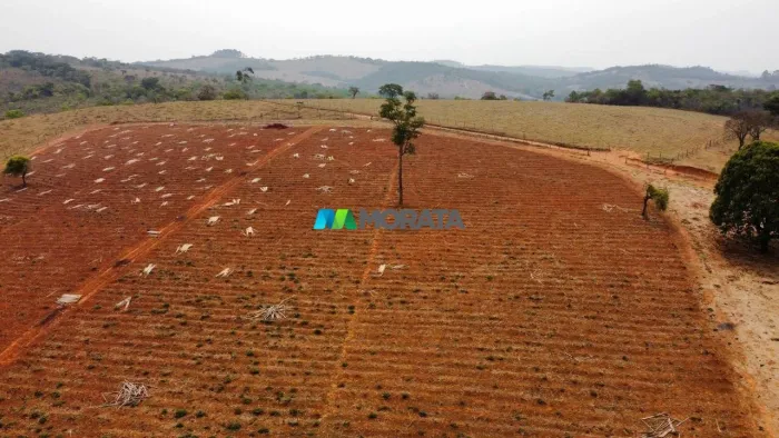 FAZENDA À VENDA - 51 HECTARES - PASSA TEMPO (MG)