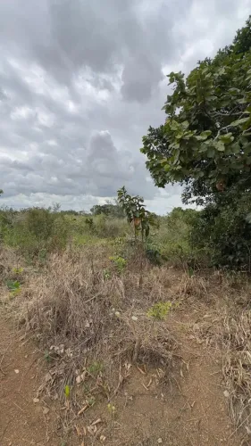Chácara à venda no Setor Jardim Peixoto, no município de Anápolis-GO