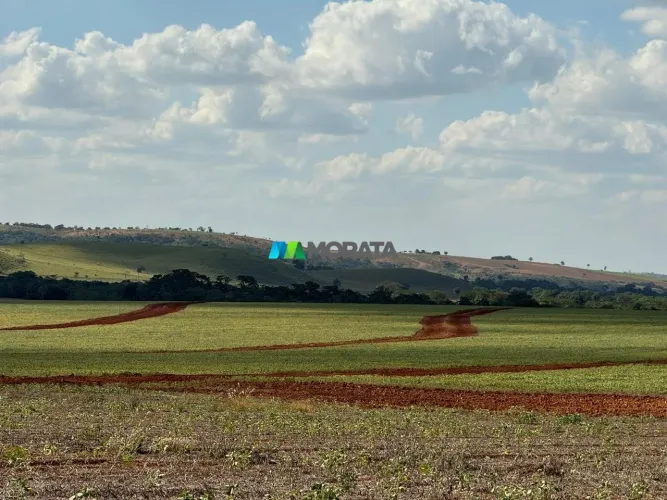 FAZENDA À VENDA - 338 HECTARES - LUZ (MG)