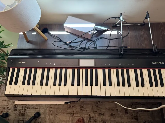 Teclado Roland Go piano