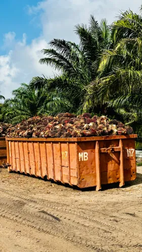 Fazenda Concórdia do Pará Dendê e Pitaya