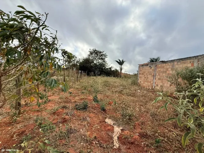 Lote para Venda em Caetité, Prisco Viana