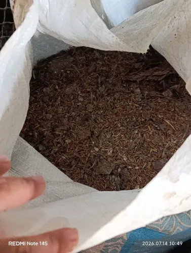 Adubo de codorna