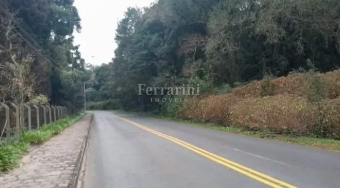 Terreno / Ferraria