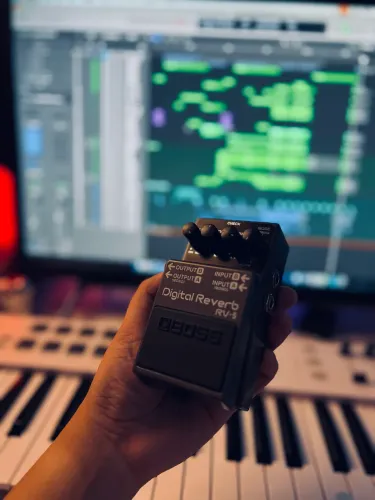 Pedal Boss Rv-5