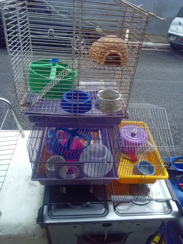 Gaiolas para hamister 