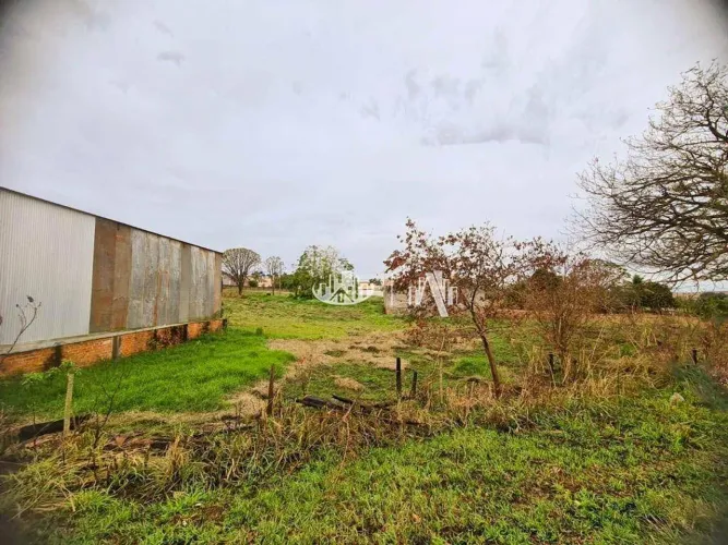 Terreno à venda, 2135 m² por R$ 600.000,00 - Jardim Maria Casagrande Favoreto - Sertanópol