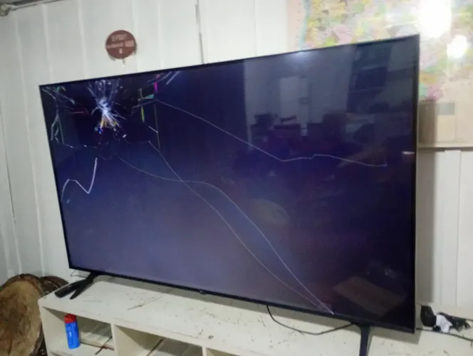 TV. 65