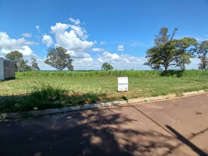 Terreno - Bosque das Araras - Três Lagoas / MS