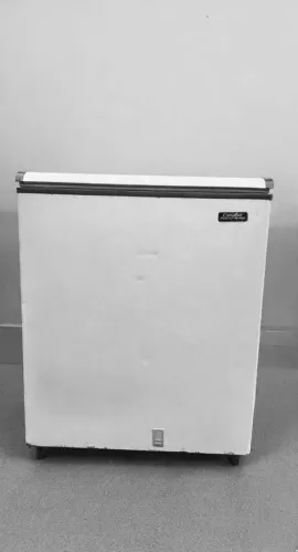 Freezer dupla açâo ,214 litros, Esmaltec, Modelo EFH250, <br><br>