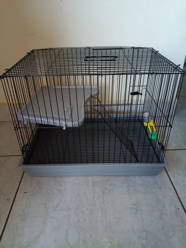 Gaiola para porquinhos da índia 