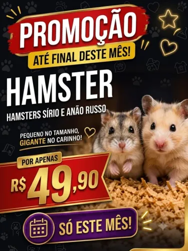 Hamster Promoção