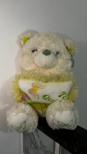Urso de Pelúcia Novo