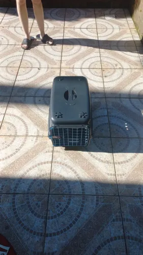 Caixa de transporte de gatos.
