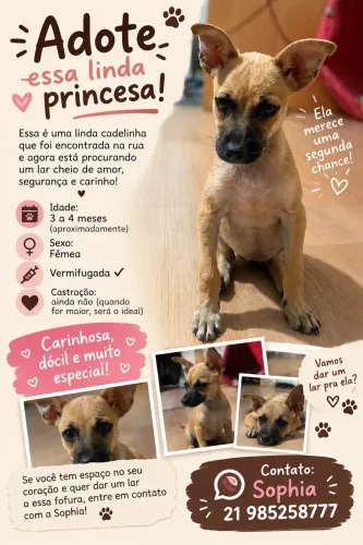Preciso de um lar para essa cachorrinha!