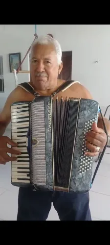 Vendo um acordeon Veronese!