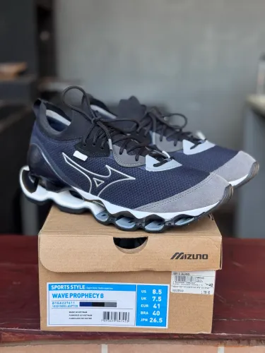 Mizuno wave prophecy beta