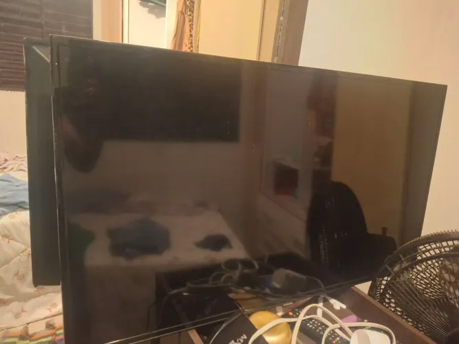 Televisão