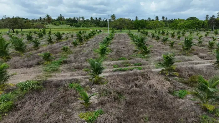 terreno no centro do cobe com 2.405 metros quadrados  com duas frentes
