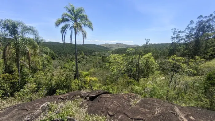 Área Rural de 4,54 Alqueires com Nascente  Santa Branca/SP