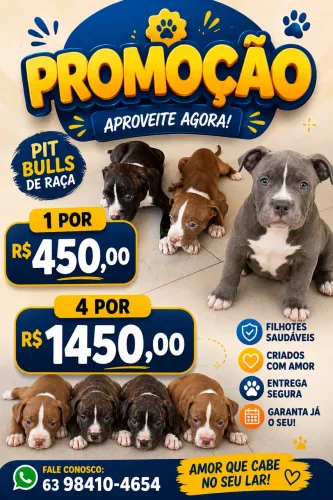 Pit bulls