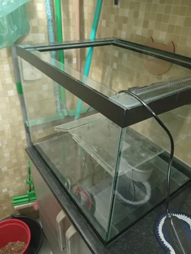 Aquaterrario para répteis ou tartarugas